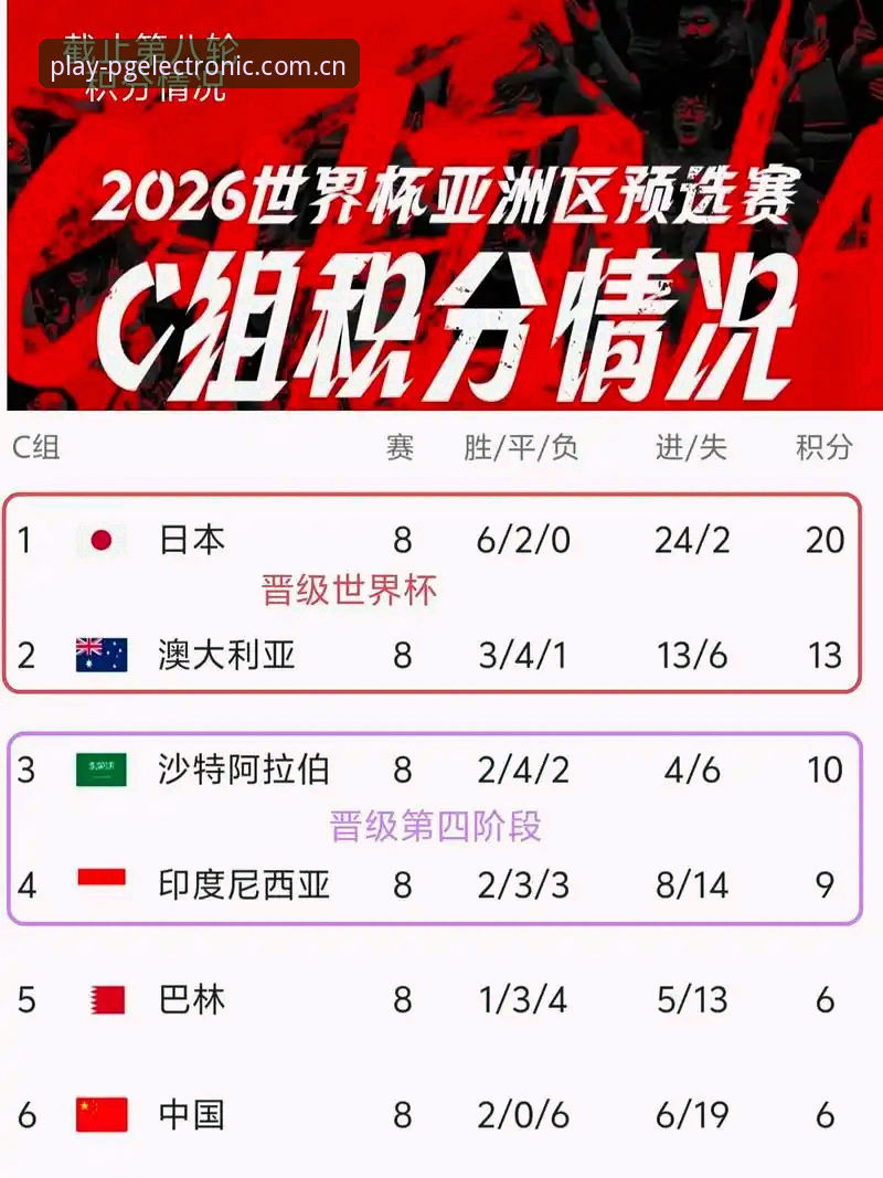 2026世界杯观赛体验深度评测：签证危机与地缘政治如何影响球迷出行
